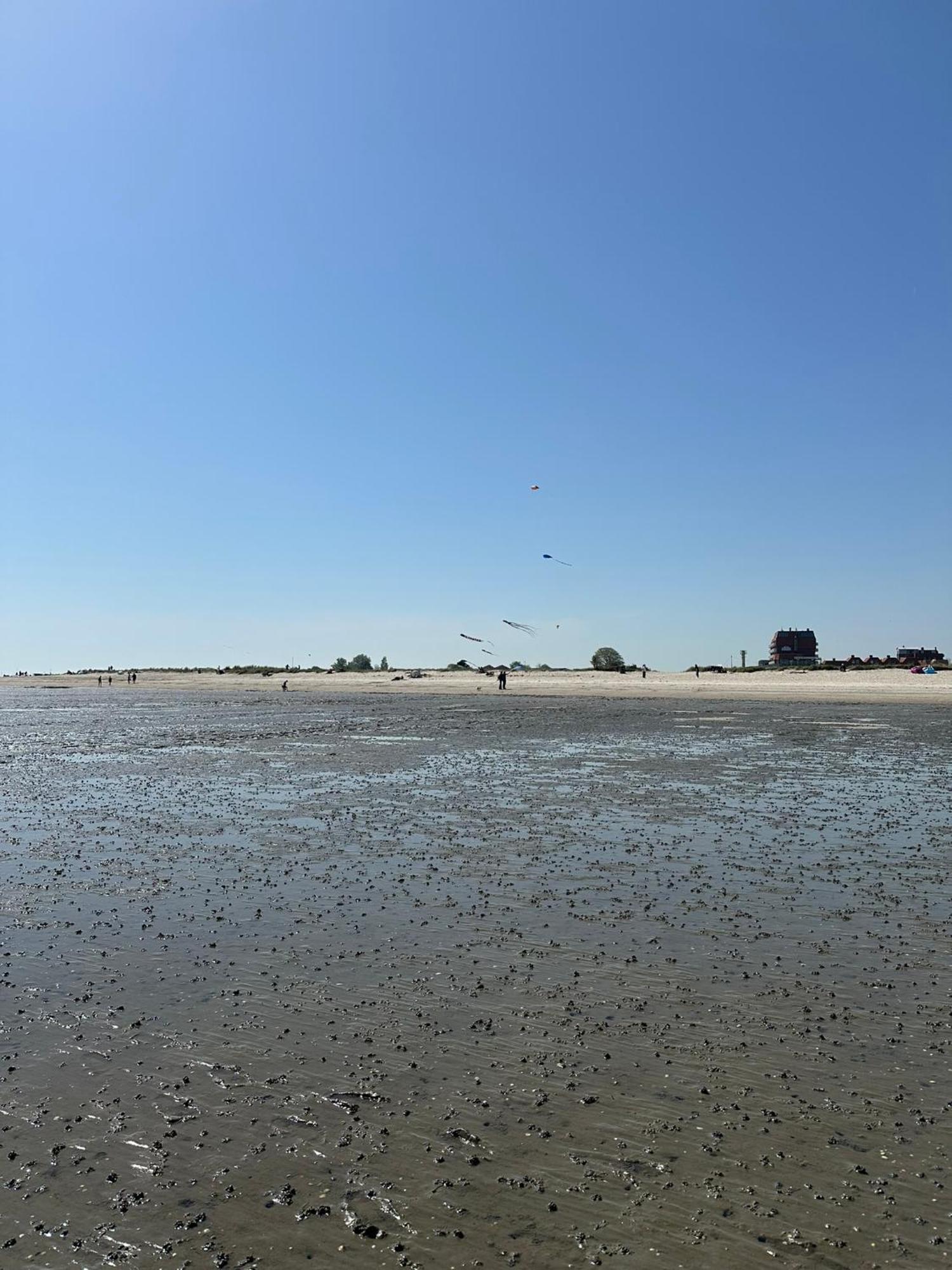 Luettje Moeoev An Der Nordsee * Schillig